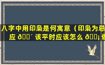 八字中用印枭是何寓意（印枭为忌应 🐴 该平时应该怎么 🐡 做）